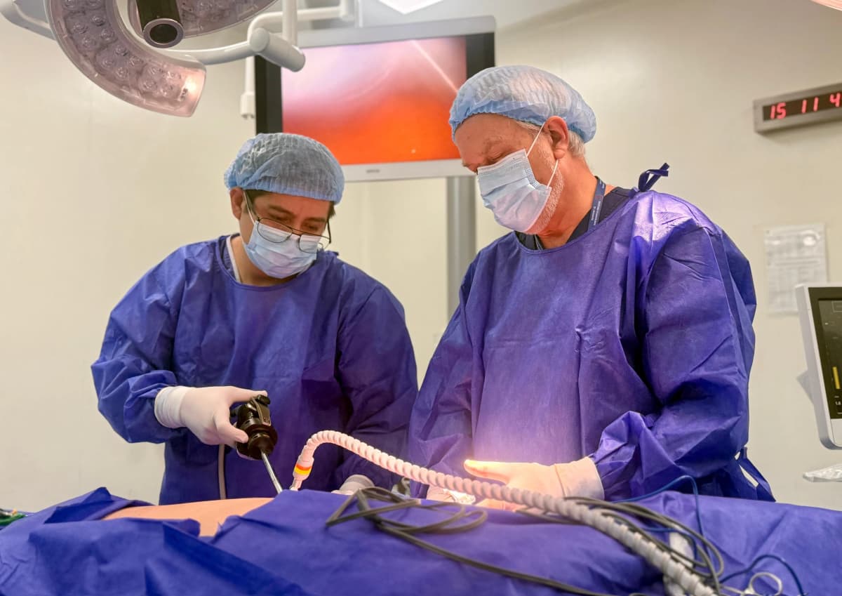 Hernia inguinal laparoscópica con malla